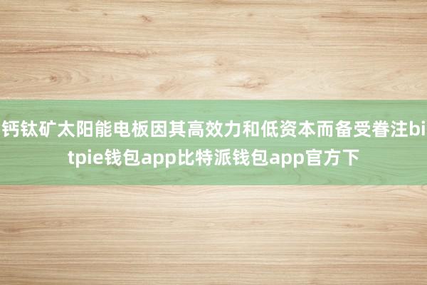 钙钛矿太阳能电板因其高效力和低资本而备受眷注bitpie钱包app比特派钱包app官方下