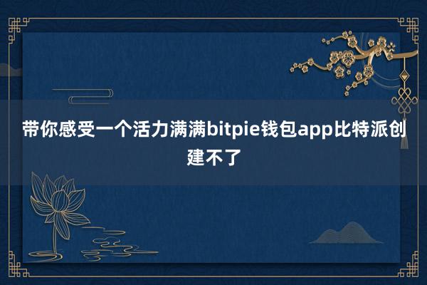 带你感受一个活力满满bitpie钱包app比特派创建不了