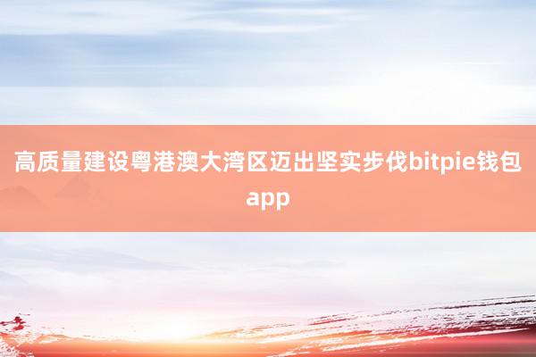 高质量建设粤港澳大湾区迈出坚实步伐bitpie钱包app