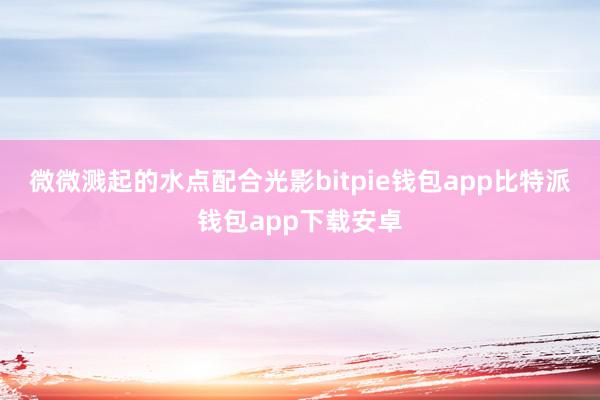 微微溅起的水点配合光影bitpie钱包app比特派钱包app下载安卓