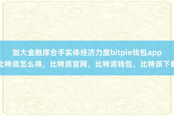 加大金融撑合手实体经济力度bitpie钱包app比特派怎么得，比特派官网，比特派钱包，比特派下载