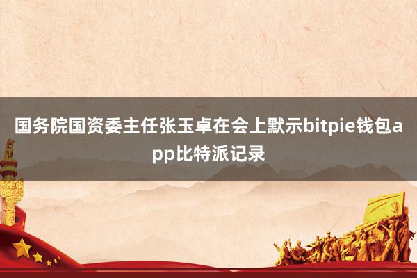 国务院国资委主任张玉卓在会上默示bitpie钱包app比特派记录