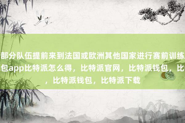 部分队伍提前来到法国或欧洲其他国家进行赛前训练bitpie钱包app比特派怎么得，比特派官网，比特派钱包，比特派下载