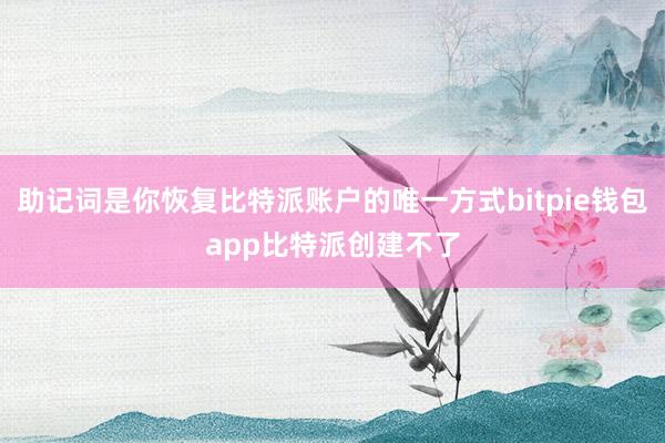 助记词是你恢复比特派账户的唯一方式bitpie钱包app比特派创建不了