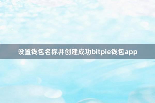 设置钱包名称并创建成功bitpie钱包app