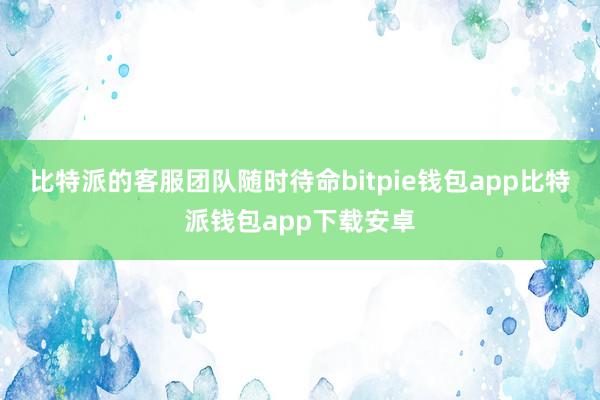 比特派的客服团队随时待命bitpie钱包app比特派钱包app下载安卓