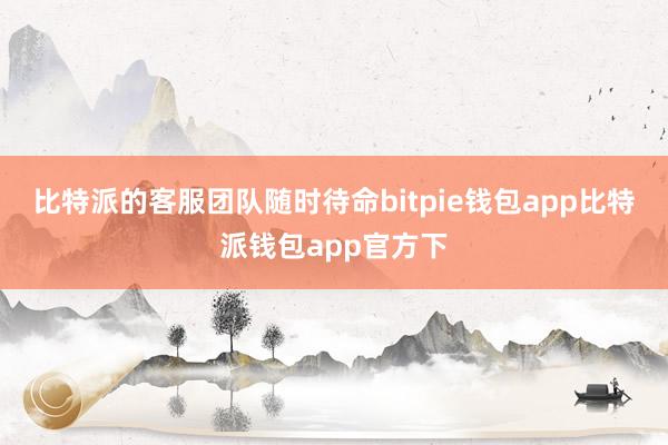 比特派的客服团队随时待命bitpie钱包app比特派钱包app官方下