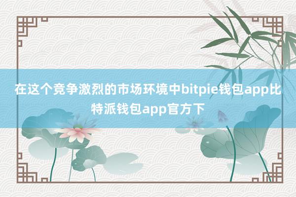 在这个竞争激烈的市场环境中bitpie钱包app比特派钱包app官方下