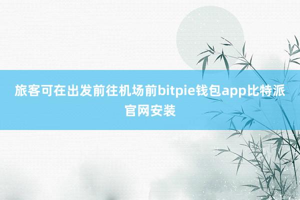 旅客可在出发前往机场前bitpie钱包app比特派官网安装