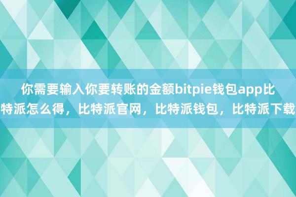 你需要输入你要转账的金额bitpie钱包app比特派怎么得，比特派官网，比特派钱包，比特派下载