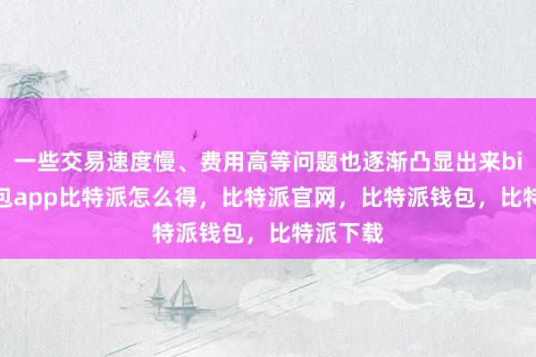 一些交易速度慢、费用高等问题也逐渐凸显出来bitpie钱包app比特派怎么得，比特派官网，比特派钱包，比特派下载