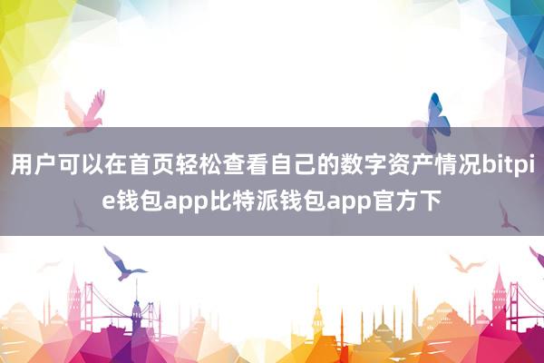 用户可以在首页轻松查看自己的数字资产情况bitpie钱包app比特派钱包app官方下