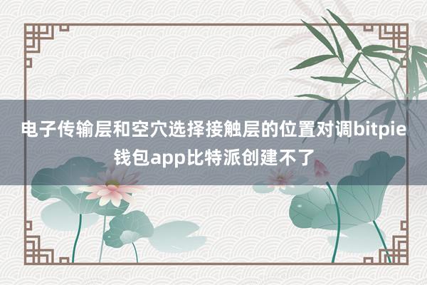 电子传输层和空穴选择接触层的位置对调bitpie钱包app比特派创建不了