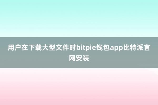 用户在下载大型文件时bitpie钱包app比特派官网安装