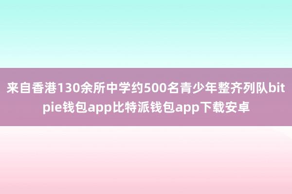 来自香港130余所中学约500名青少年整齐列队bitpie钱包app比特派钱包app下载安卓