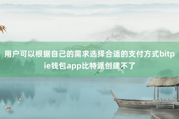 用户可以根据自己的需求选择合适的支付方式bitpie钱包app比特派创建不了