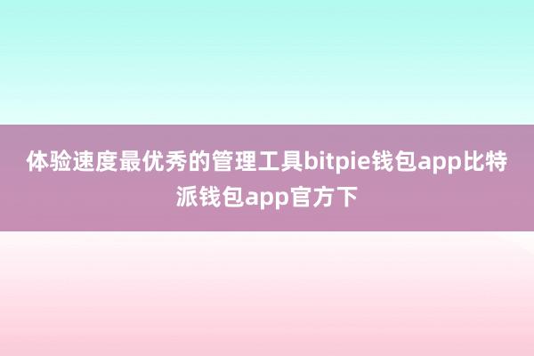 体验速度最优秀的管理工具bitpie钱包app比特派钱包app官方下