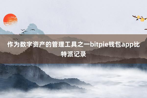 作为数字资产的管理工具之一bitpie钱包app比特派记录