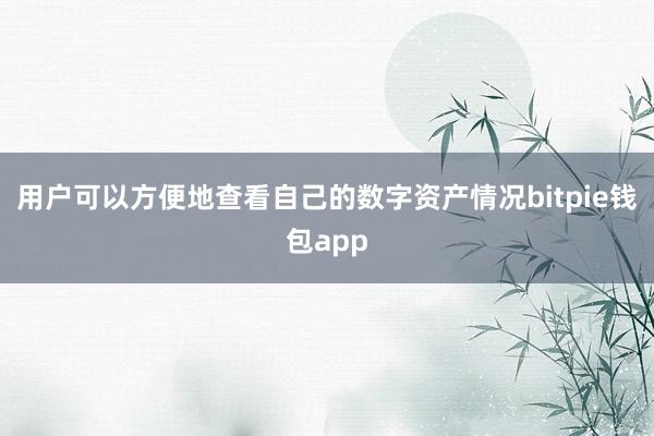 用户可以方便地查看自己的数字资产情况bitpie钱包app