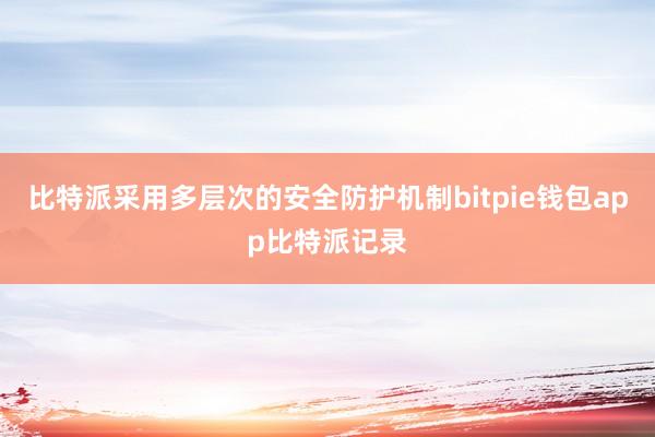 比特派采用多层次的安全防护机制bitpie钱包app比特派记录