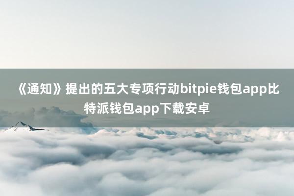 《通知》提出的五大专项行动bitpie钱包app比特派钱包app下载安卓