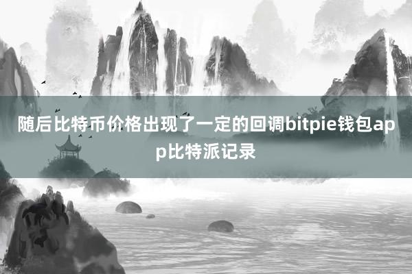 随后比特币价格出现了一定的回调bitpie钱包app比特派记录