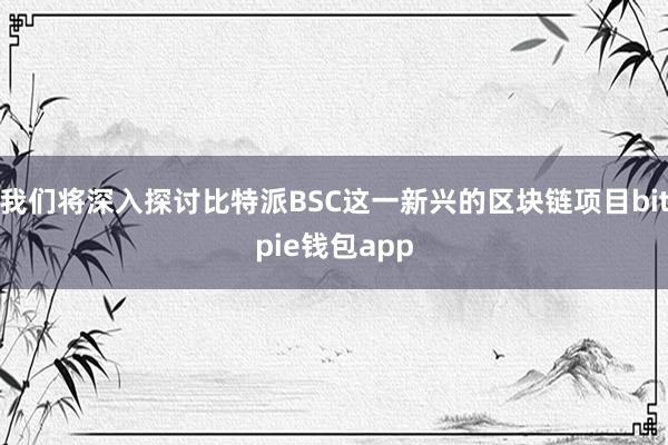 我们将深入探讨比特派BSC这一新兴的区块链项目bitpie钱包app