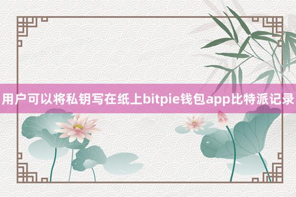 用户可以将私钥写在纸上bitpie钱包app比特派记录