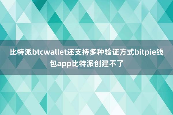 比特派btcwallet还支持多种验证方式bitpie钱包app比特派创建不了