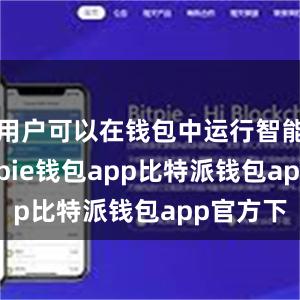 用户可以在钱包中运行智能合约bitpie钱包app比特派钱包app官方下