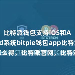 比特派钱包支持iOS和Android系统bitpie钱包app比特派怎么得，比特派官网，比特派钱包，比特派下载