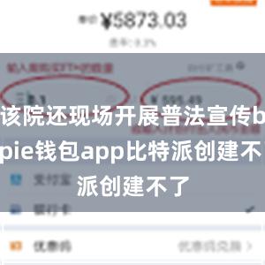 该院还现场开展普法宣传bitpie钱包app比特派创建不了