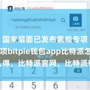 国家层面已发布氢能专项政策3项bitpie钱包app比特派怎么得，比特派官网，比特派钱包，比特派下载