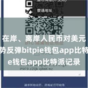 在岸、离岸人民币对美元汇率强势反弹bitpie钱包app比特派记录