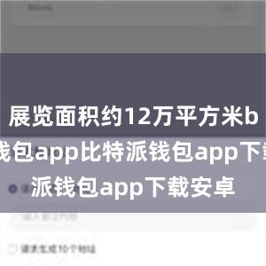 展览面积约12万平方米bitpie钱包app比特派钱包app下载安卓