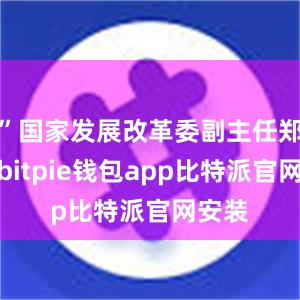 ”国家发展改革委副主任郑备说bitpie钱包app比特派官网安装