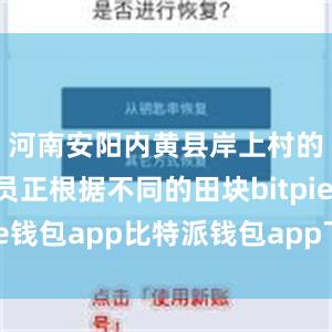 河南安阳内黄县岸上村的农技人员正根据不同的田块bitpie钱包app比特派钱包app下载安卓