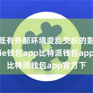 既有外部环境变乱交织的影响bitpie钱包app比特派钱包app官方下